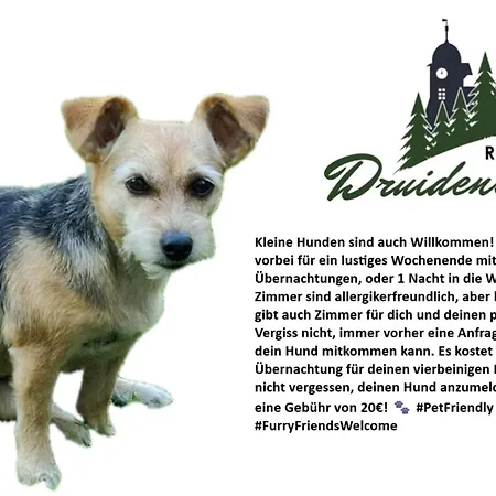 & Restaurant Druidenstein 호텔