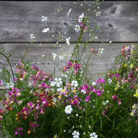 & Restaurant Druidenstein