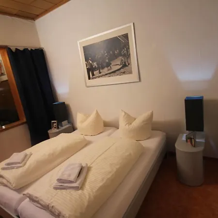 호텔 & Restaurant Druidenstein 트라우텐스타인