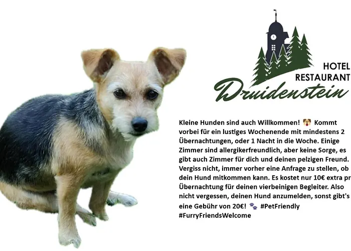 & Restaurant Druidenstein Hotel