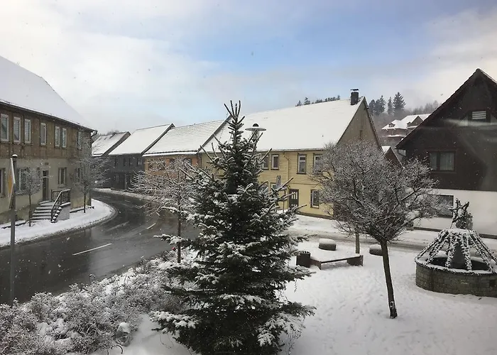 & Restaurant Druidenstein מלון