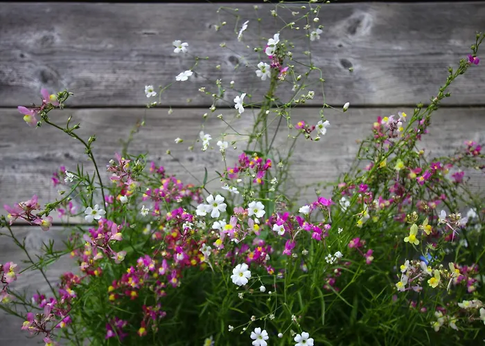 & Restaurant Druidenstein