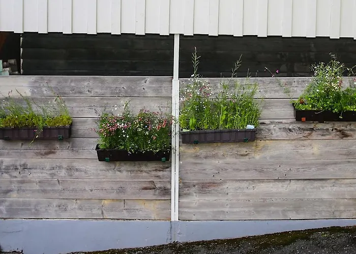 Hotel-restaurant Druidenstein Hotel 2*