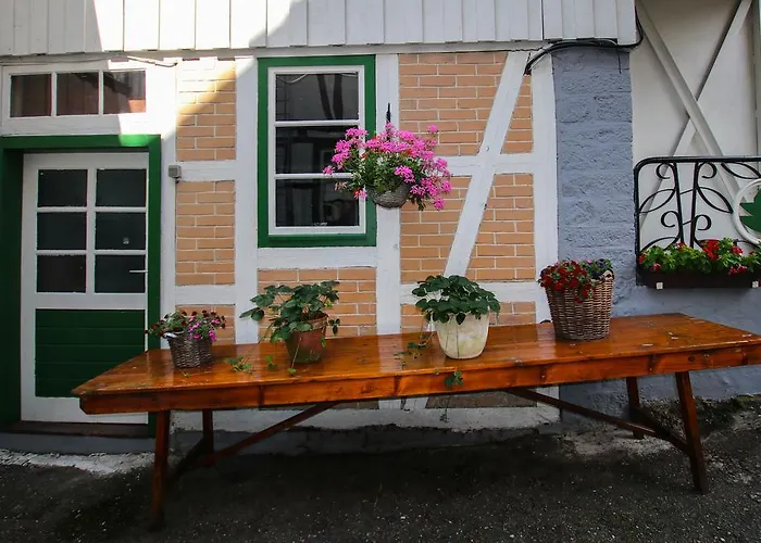 & Restaurant Druidenstein מלון Trautenstein