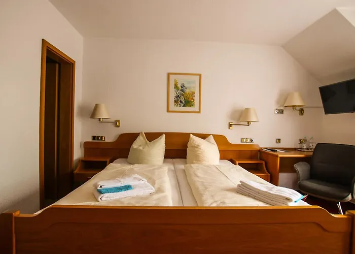 Hotel-restaurant Druidenstein Hotel