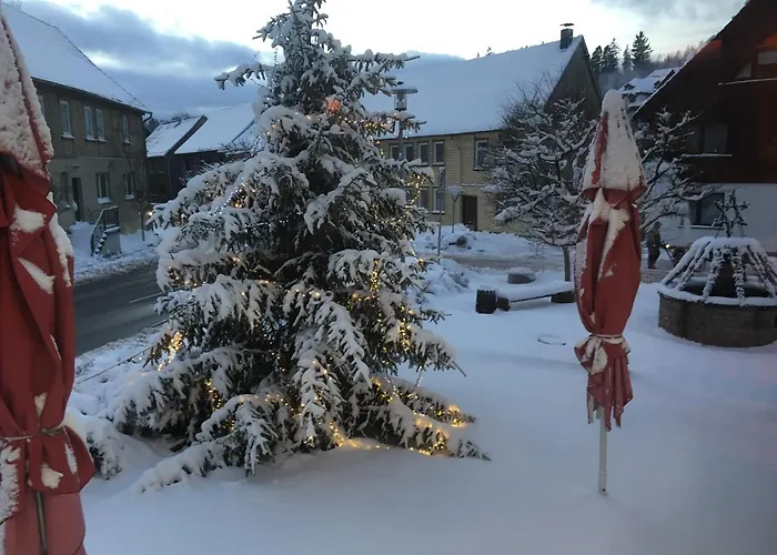 & Restaurant Druidenstein 2* Trautenstein