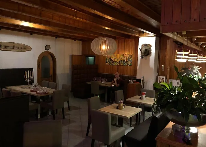 & Restaurant Druidenstein 2*